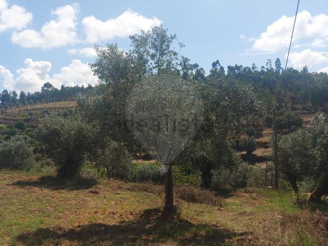 Quinta venda em Engarnais Fundeiros, Abrantes