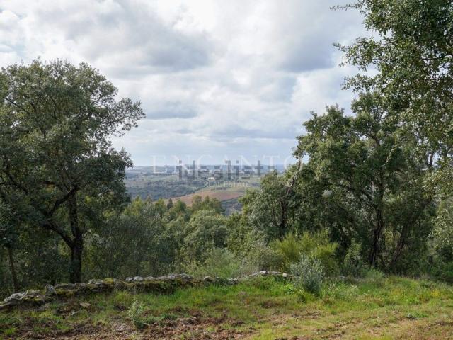 Quinta venda em Abrantes, Santarém