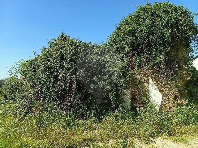 Quinta venda em Abrantes, Santarém