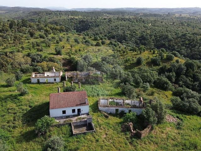 Quinta venda em Abrantes, Santarém