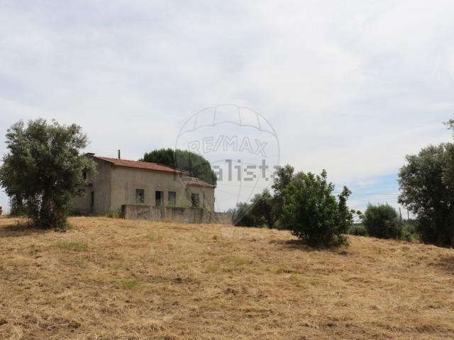 Quinta venda em Abrantes, Santarém