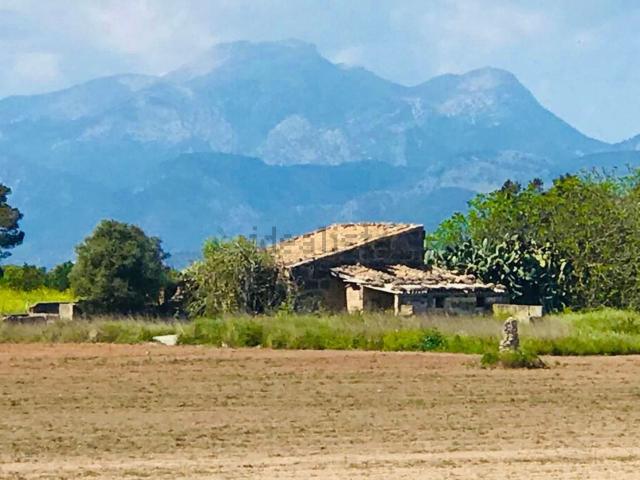 Casa Rural en venta en Pla de Mallorca, Baleares