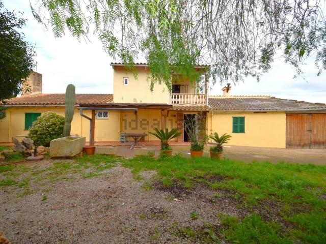 Casa Rural en alquiler en Platja de Muro, Pla de Mallorca