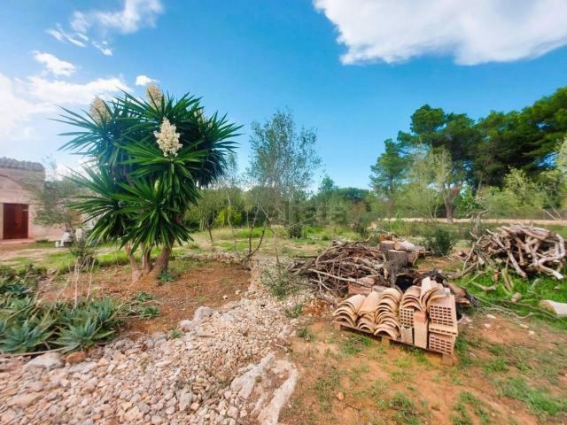 Casa Rural en venta en Pla de Mallorca, Baleares