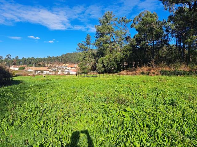 Quinta venda em Trofa, Porto