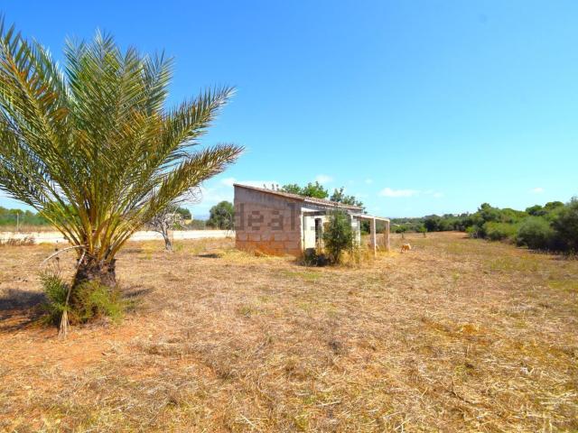 Casa Rural en venta en Pla de Mallorca, Baleares
