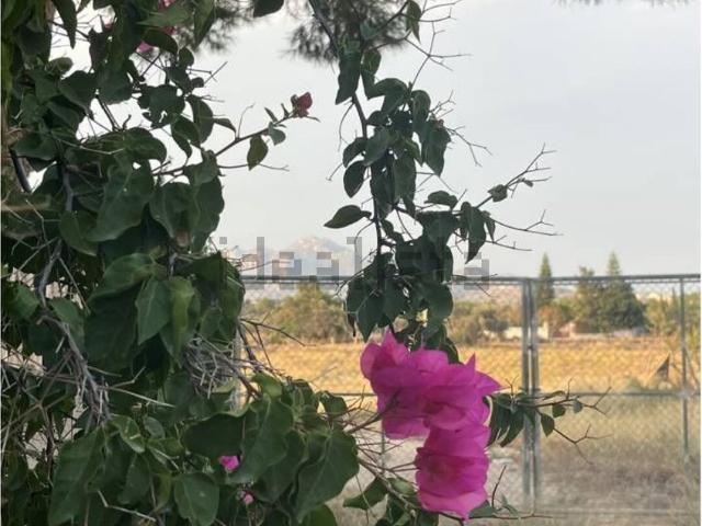 Casa Rural en venta en Urbanització L'Horta, l'Alacantí