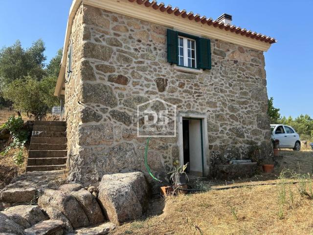 Quinta venda em Castelo Branco