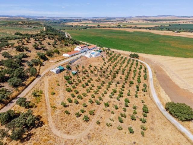 Quinta venda em Campo Maior, Portalegre