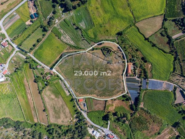 Quinta venda em Póvoa De Lanhoso, Braga