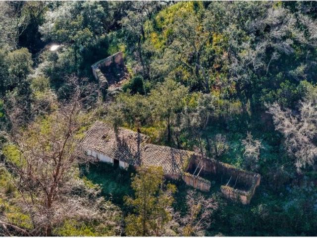 Quinta venda em Aljezur, Faro