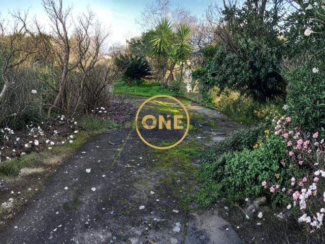 Quinta venda em Olaia e Paço, Torres Novas