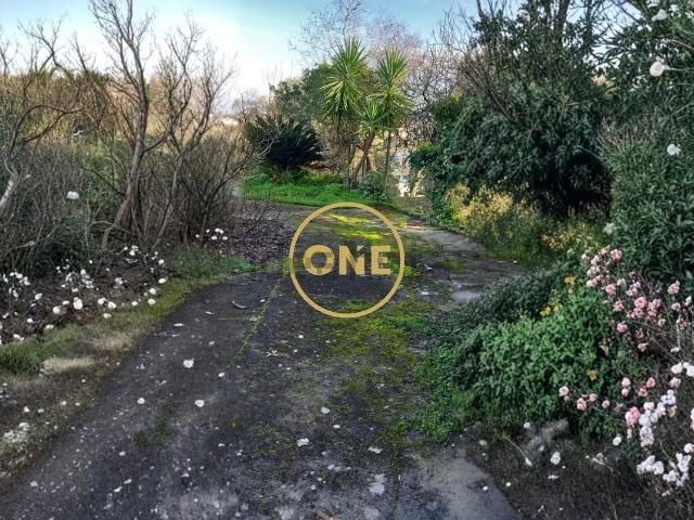 Quinta venda em Olaia e Paço, Torres Novas