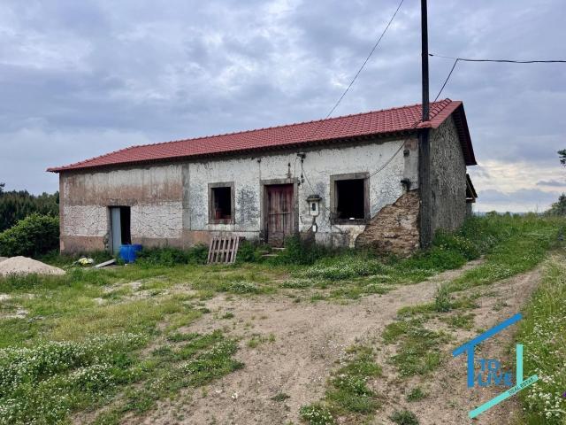 Quinta venda em Tomar, Santarém