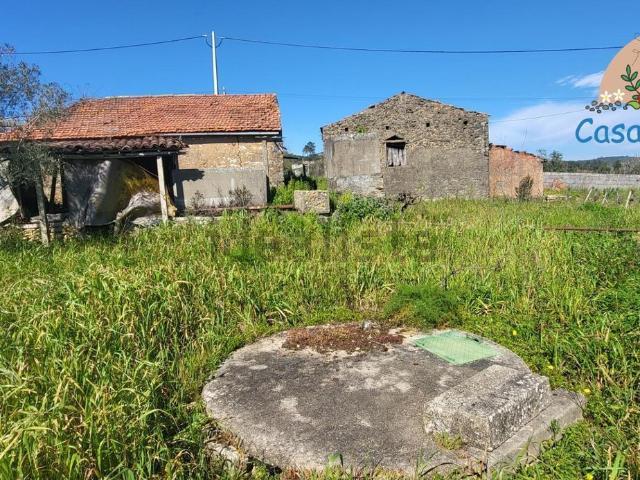 Quinta venda em Bugarrel, Tomar