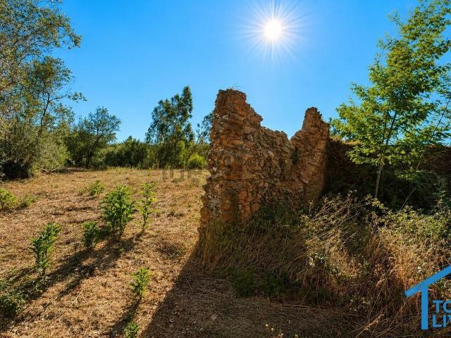 Quinta venda em Tomar, Santarém