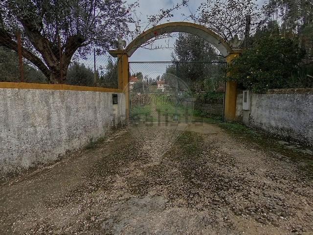 Quinta venda em Tomar, Santarém