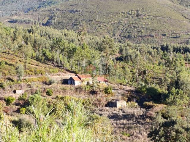 Quinta venda em Castelo Branco, Oleiros