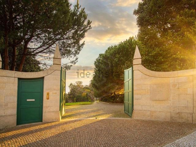 Quinta venda em Oliveira De Azeméis, Aveiro