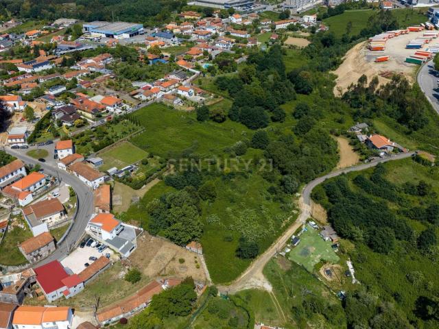 Quinta venda em Oliveira De Azeméis, Aveiro