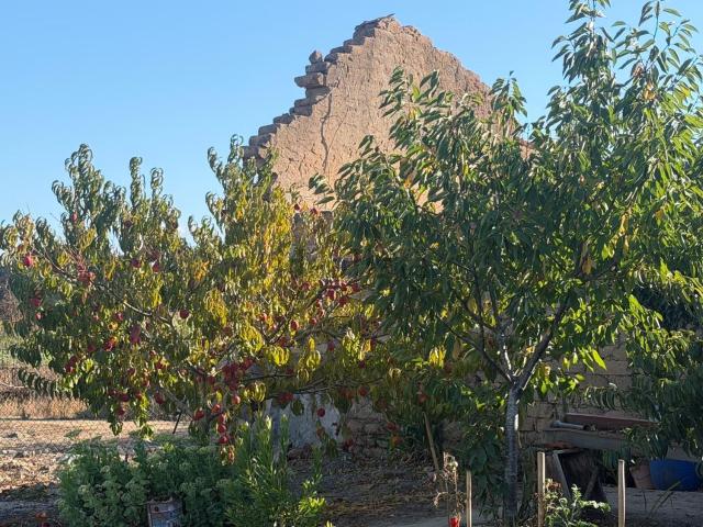 Quinta venda em Oliveira Do Bairro, Aveiro