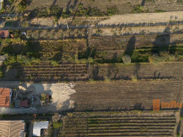 Quinta venda em Castelo Branco, Orjais