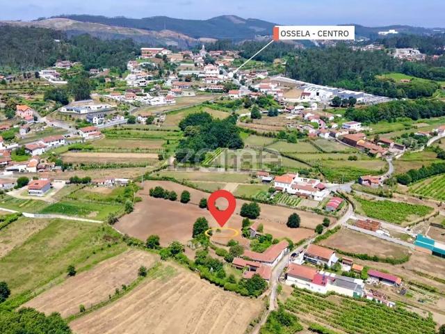 Quinta venda em Alvelhe, Oliveira De Azeméis