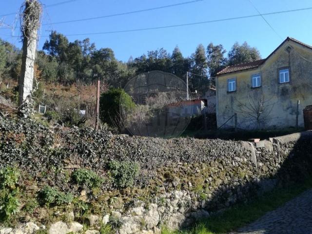 Quinta venda em Alvelhe, Oliveira De Azeméis