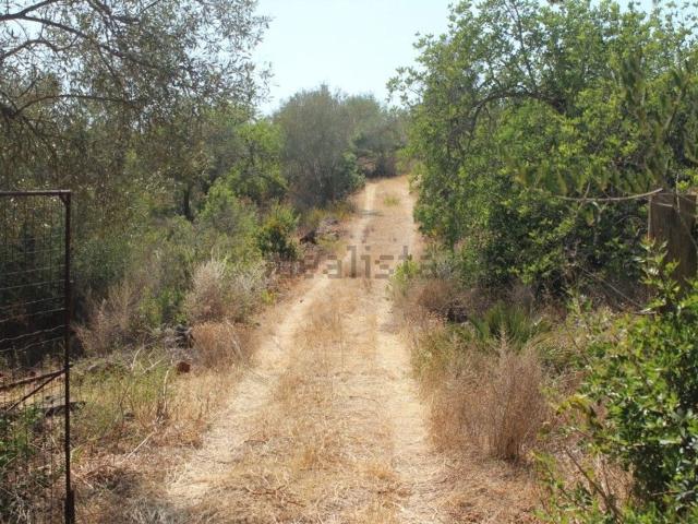 Quinta venda em Purgatório, Albufeira