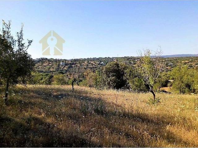 Quinta venda em Vale de Pegas, Albufeira