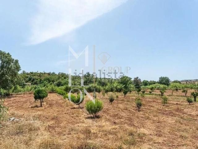 Quinta venda em Albufeira, Faro