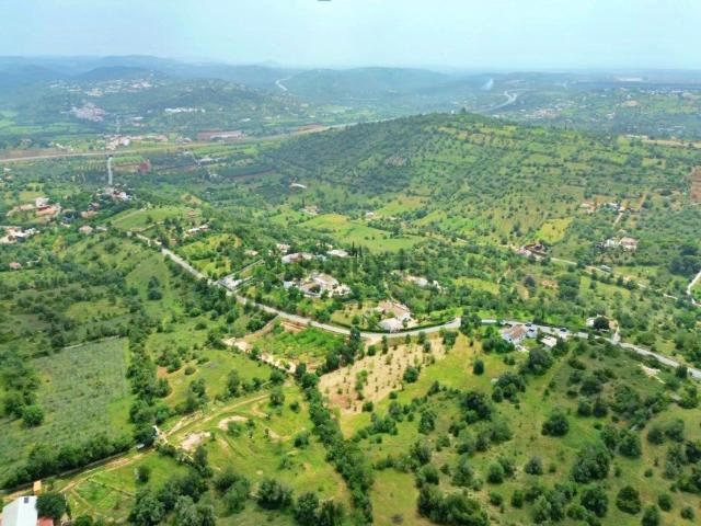 Quinta venda em Albufeira, Faro