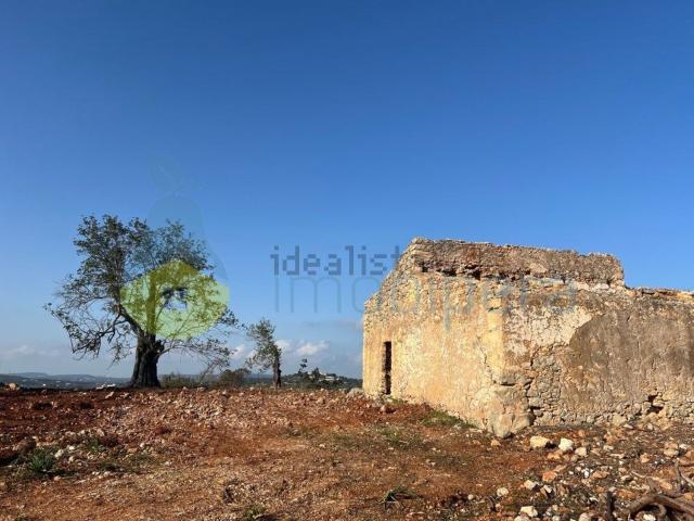 Quinta venda em Albufeira, Faro