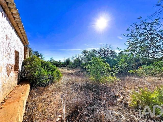 Quinta venda em Albufeira, Faro