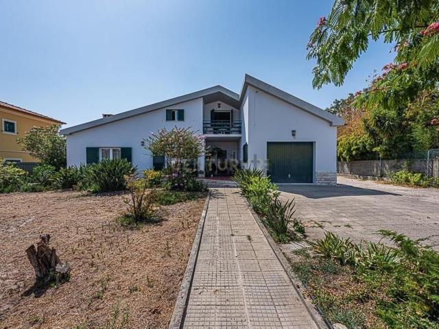 Quinta venda em Brejos do Assa, Palmela