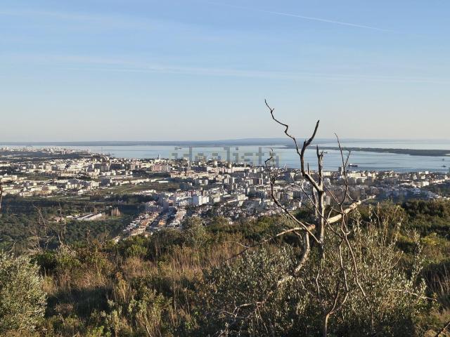 Quinta venda em Palmela, Setúbal