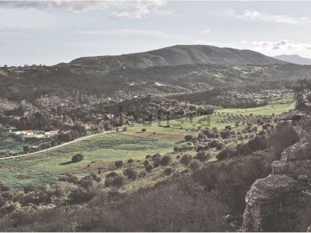 Quinta venda em Palmela, Setúbal