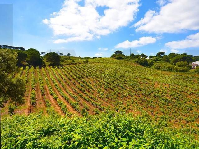 Quinta venda em Palmela, Setúbal