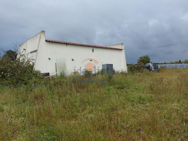 Quinta venda em Palmela, Setúbal