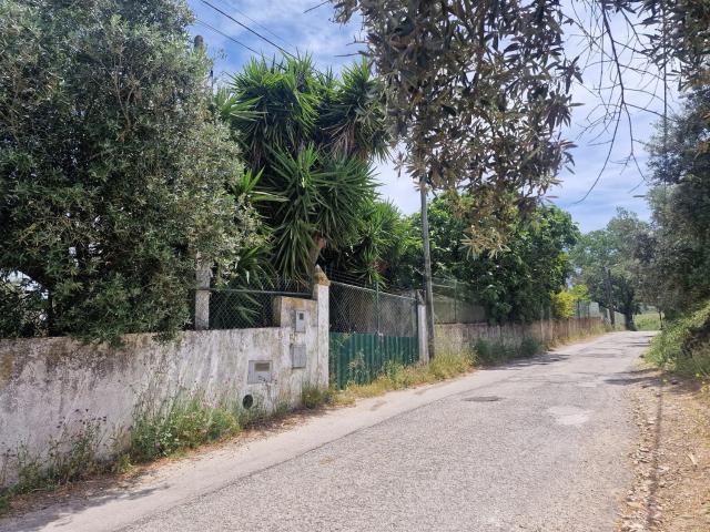 Quinta venda em Palmela, Setúbal