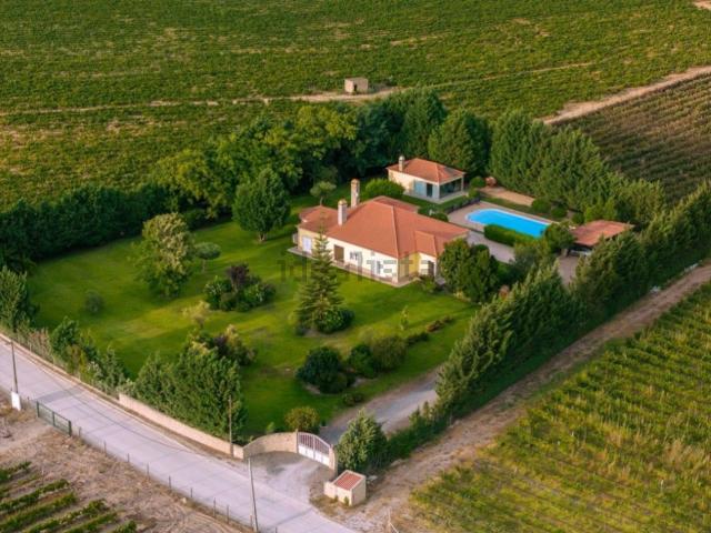 Quinta venda em Palmela, Setúbal