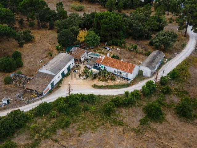 Quinta venda em Palmela, Setúbal