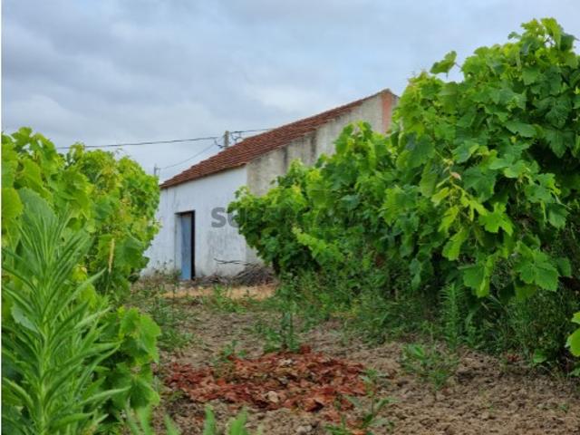 Casa venda em Caldas Da Rainha