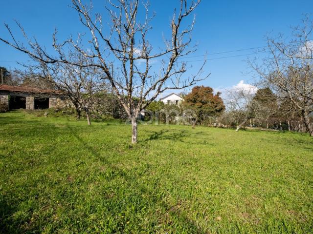 Quinta venda em Paredes, Bitarães