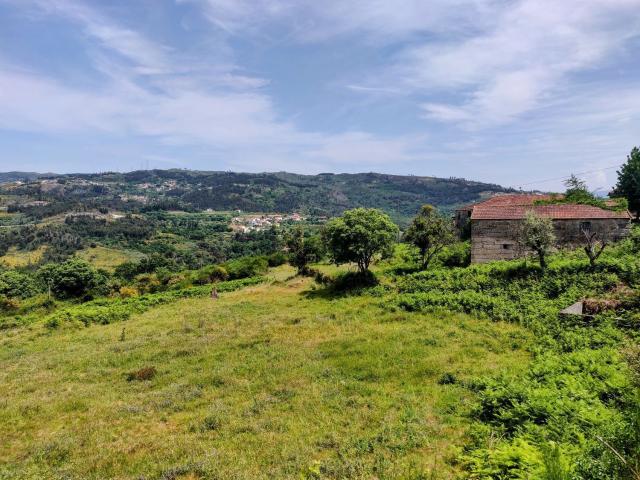 Quinta venda em Paredes de Viadores, Porto