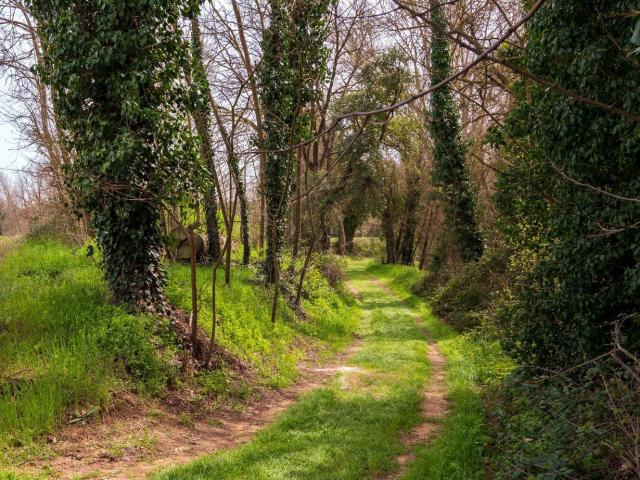 Casa Rural en venta en Baix Empordà, Catalunya
