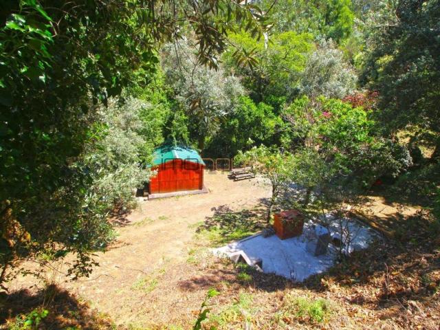 Quinta venda em Castelo De Paiva, Aveiro
