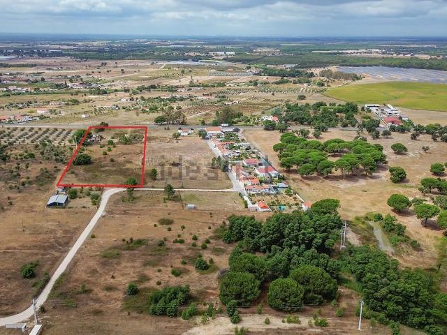 Quinta venda em Montijo, Setúbal