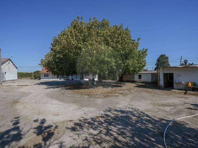 Quinta venda em Judia, Montijo