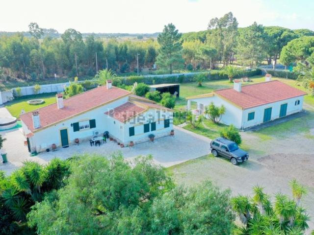 Quinta venda em Colonato de Santo Isidro de Pegões, Montijo